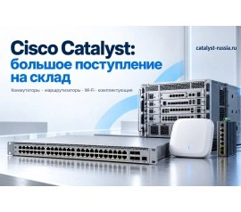 Cisco Catalyst: большое поступление на склад