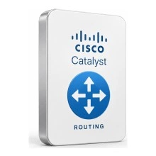 Cisco Catalyst C8000-HSEC лицензия