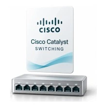 Cisco Catalyst 3110-AISK9-LIC-I лицензия