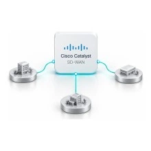 Cisco Catalyst C8000V-HSEC лицензия